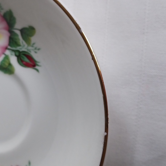 Royal Stuart Spencer Stevenson England Vintage Bone China Floral Teacup & Saucer - Picture 8 of 12